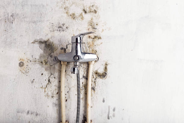 Best Mold Remediation for Specific Building Types in Ishpeng, MI