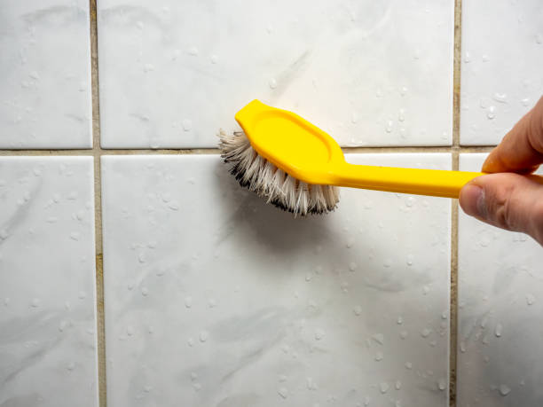 Best Post-Remediation Services in Ishpeng, MI