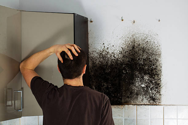 Best Bathroom Mold Remediation in Ishpeng, MI